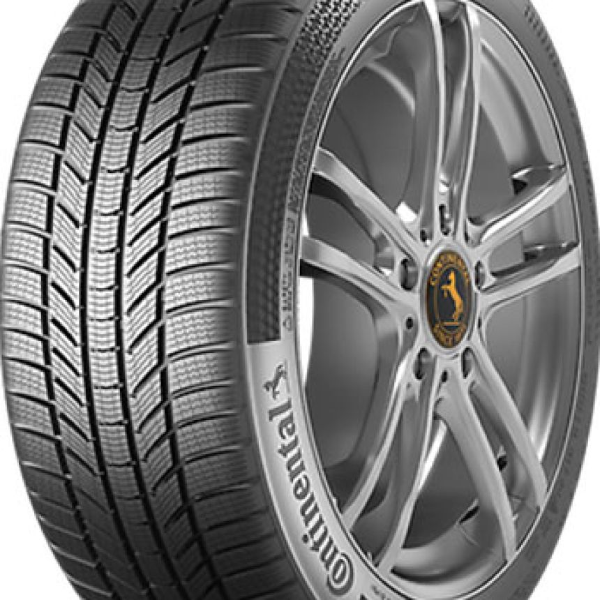 WinterContact TS 870 P XL 225/55-17 V