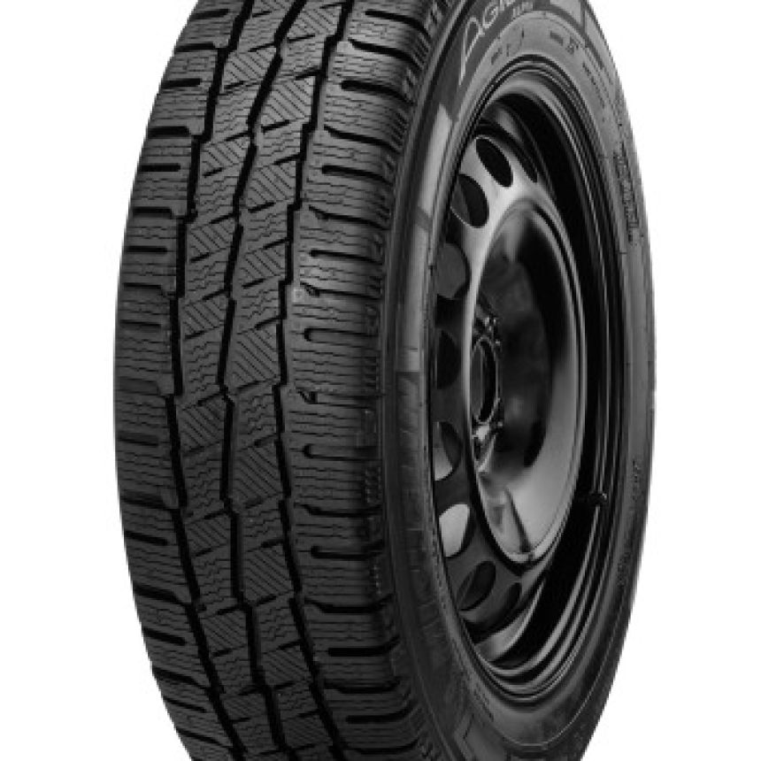 Agilis Alpin 225/55-17 T
