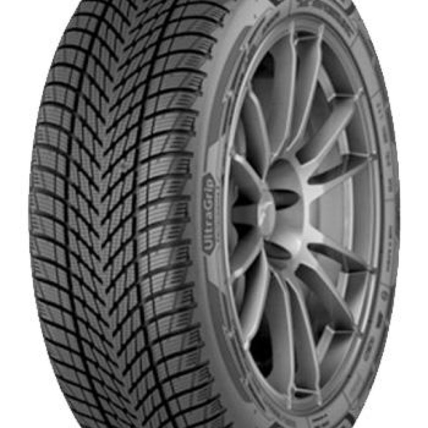 UltraGrip Performance 3 XL 225/55-17 V